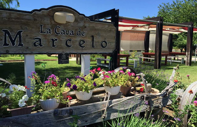 Ensenada Wine & Cheese Tasting - Foto 4