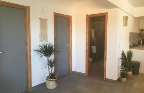 Bico das flores - Foto 52