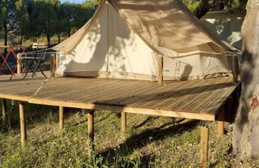 Monte da Tojeirinha - Foto 52