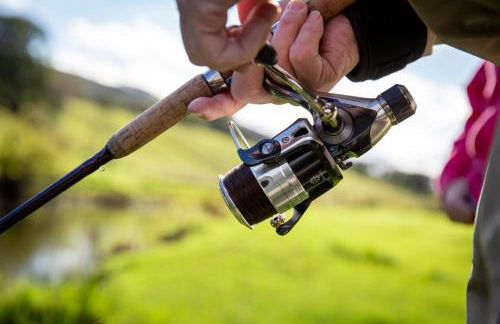 Felin Gogoyan - Photo 39