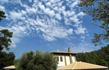 Paralia Homes cheerful 2 bedroom with pool, unit #1 - Foto 36