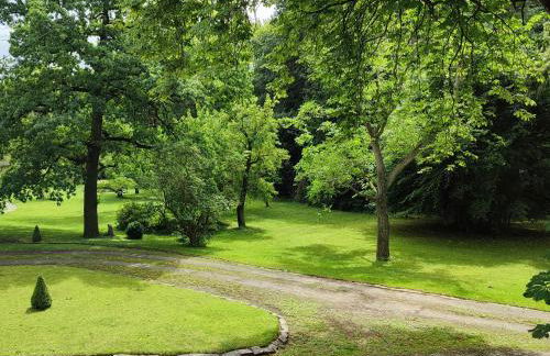 Ferienwohnung Goslar mit Parkblick am Harz - Photo 14