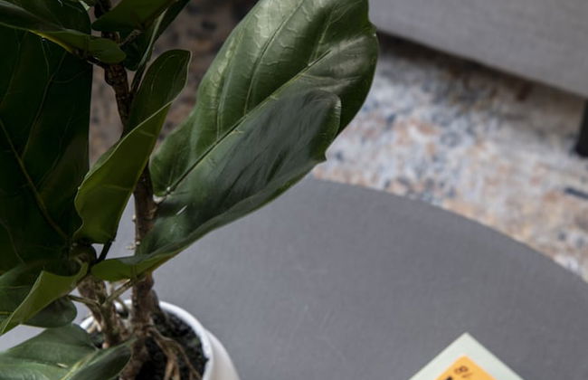 Cove Arne Street - Foto 39