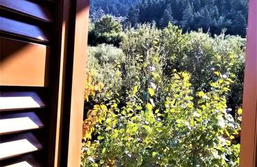 Mainades House - Photo 21