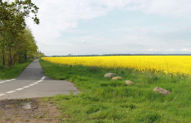 Idyllische Wohnung an der Ostseekueste - Photo 35