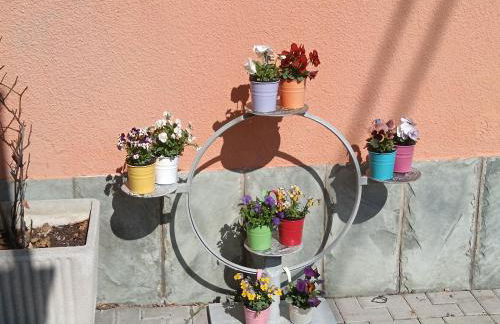 Le Magnolie - Foto 53