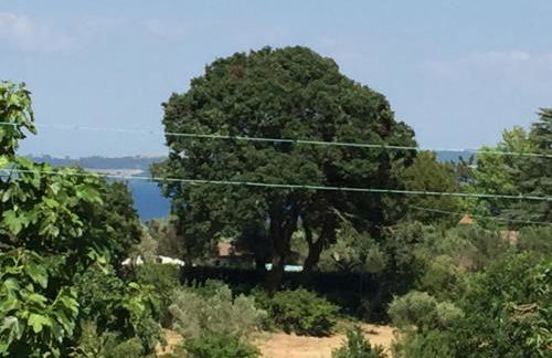 Eco Home con terrazza - Foto 26