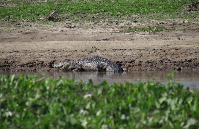 Tour in Avellaneda - Foto 7