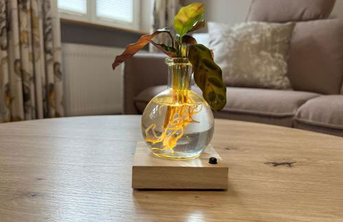 CityDreams mit Altbauflair die Premiumunterkunft in Lörrach bei Basel - Foto 23