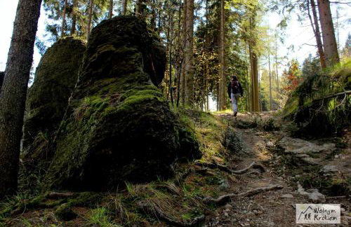 Apartamenty Black&White Lubawka - Domek z ruską banią i sauną - Foto 36