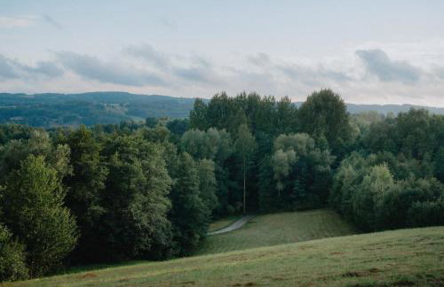 Domki W Sam Las & SPA Lubenia - Foto 10