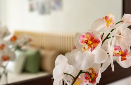 Cagliari Center - Sonnino House - Foto 20