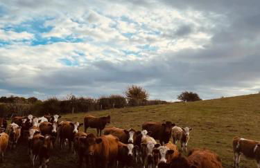 Gardener's Cottage - Foto 42