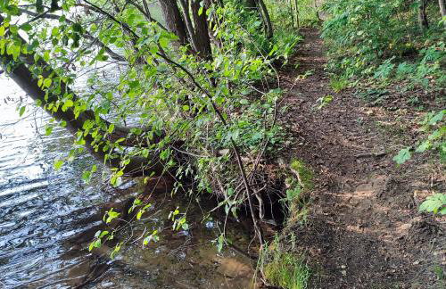 Domek na Skarpie nr 1 Łutynowo gmina Olsztynek - Foto 26