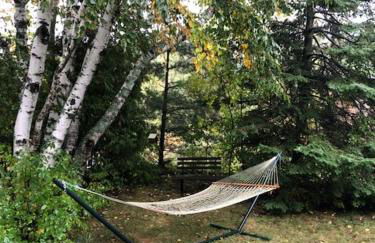 Northern Lights-Lake Michigan - Foto 15