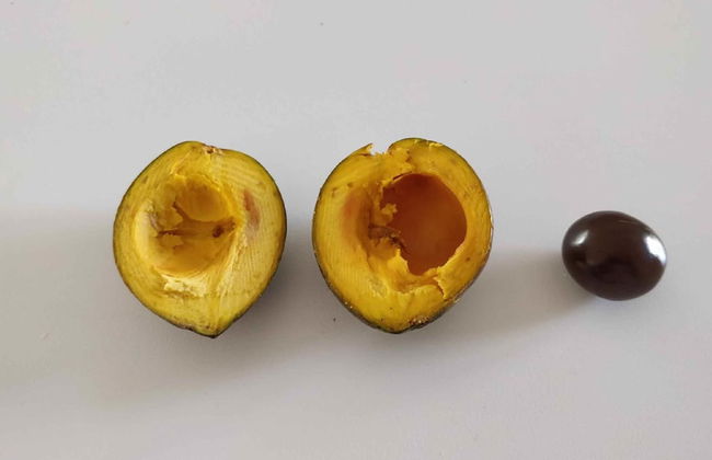 Casale Della Pergola With Cottage Sugarcane Pool - Foto 48