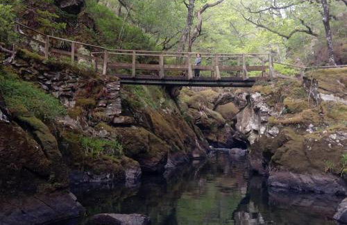 Traditional 19th Century Slate Miners Cottage - Foto 27