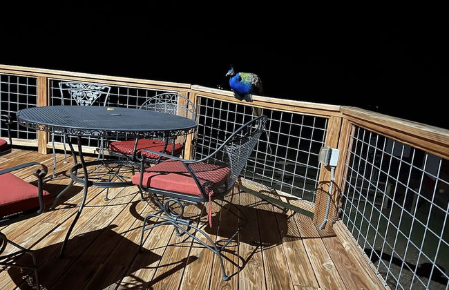 Eycat Lodging Company - Foto 16