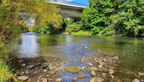 Apartmentzimmer KEINE MONTEURE - Foto 5