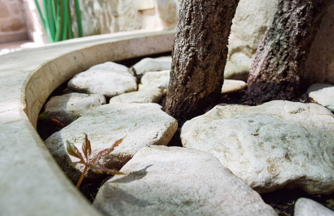 Apartments Gracin - Foto 70