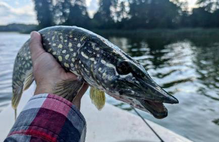 Dom Dwa Jeziora - Augustów - Photo 35