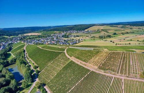 Ferienweingut Willems - Foto 13