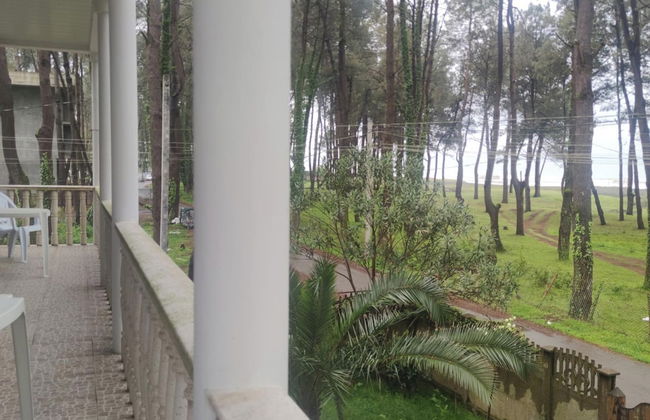 House by the sea Kaprovani Shekvetili Batumi - Photo 25