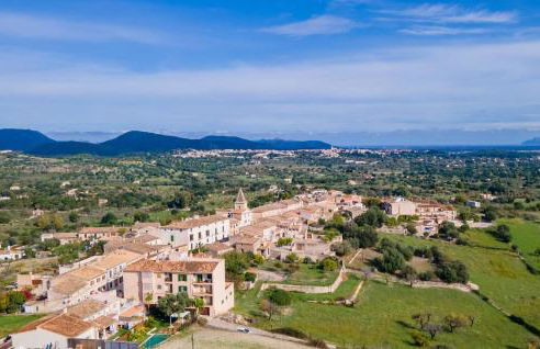 Duplex Can Roses - Photo 29