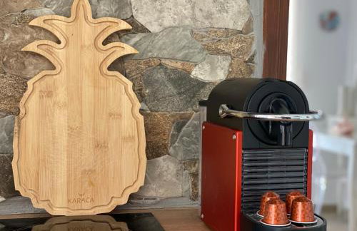 Lion House I - Photo 2