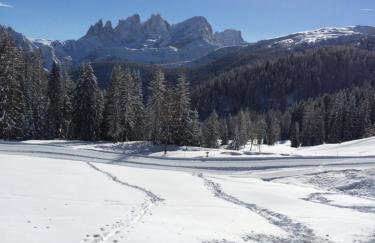 Appartamento Dolomiti Dream 1 - Foto 25