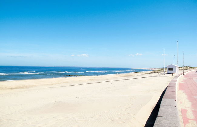 Mon Poussin - Photo 26