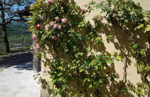 Agriturismo Fattoio alle Ripe - Foto 7