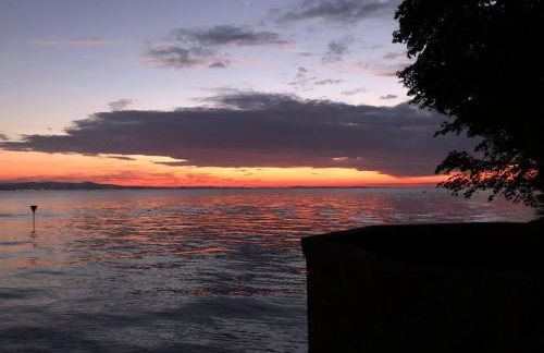 Im Rosenhof - Foto 16