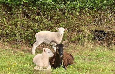 Light & Airy Vaulted Barn Conversion with a View - Photo 25