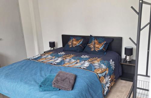 Appartement RDC centre ville - Local vélos disponible - Foto 10