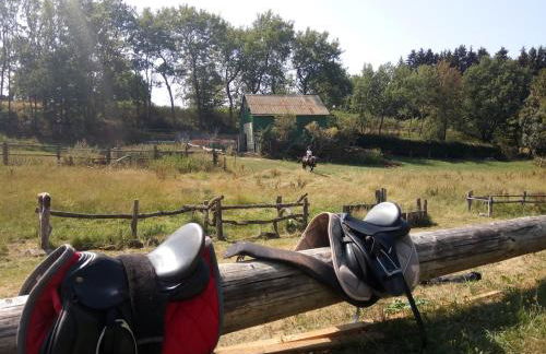 Urlaub im Sauerland Zwischen Wald & Winterberg - Foto 11