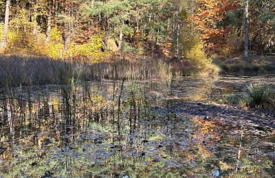 Bungalow Biberspur - Foto 57