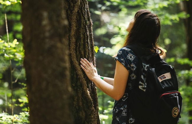 Agriturismo Florandonole - Foto 17