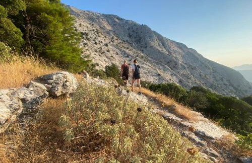 Pantheon Apartments & Studios - Photo 70