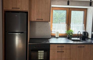 Domek w górach, noclegi w górach , Przystanek Stodoła , nocleg Beskidy , Velo Soła, balia ogrodowa, Rajcza, Rycerka - Foto 30