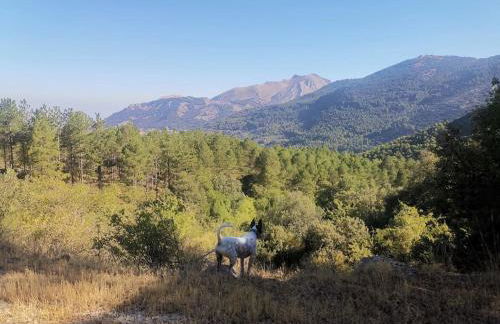 Alojamiento Encarnación - Foto 19