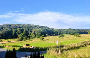 Modernes Rhombushaus im Naturparadies Sauerland - Foto 24