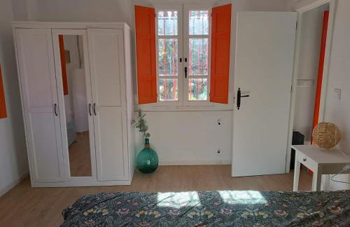 O Salgueiral - Foto 6