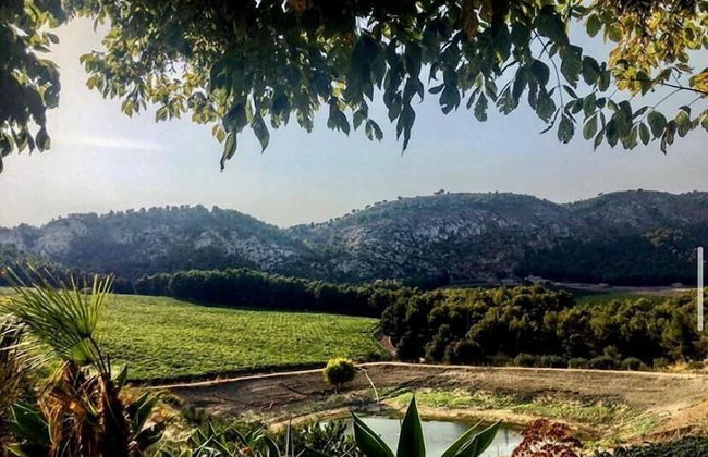 Agriturismo Tenute Pispisa Segesta - Foto 8