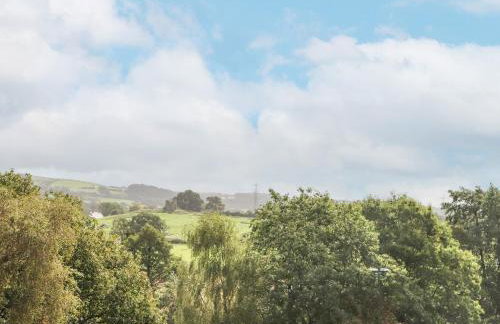 River View - Photo 12