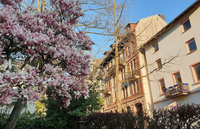 Hostel Caracalla - Foto 23