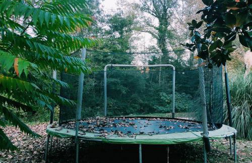 Can Torrotes - Foto 36