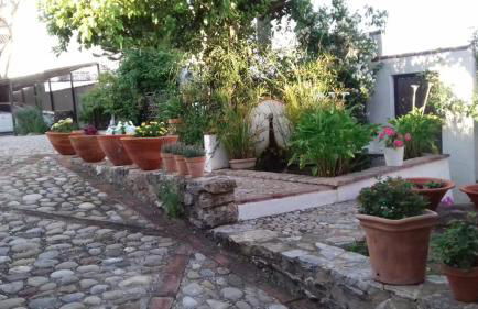 Casas de Almajar - Foto 75