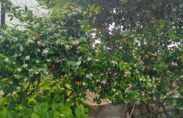 Vintage House by the Sea - Foto 57