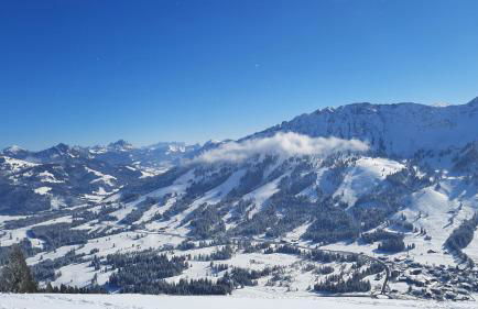 Ferienwohnung Alpenvogel - Foto 27